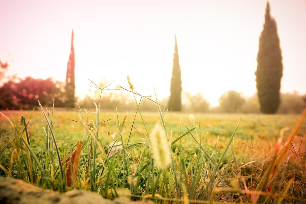 Finca Son Miranda - LA Organic Sencelles Bagian luar foto