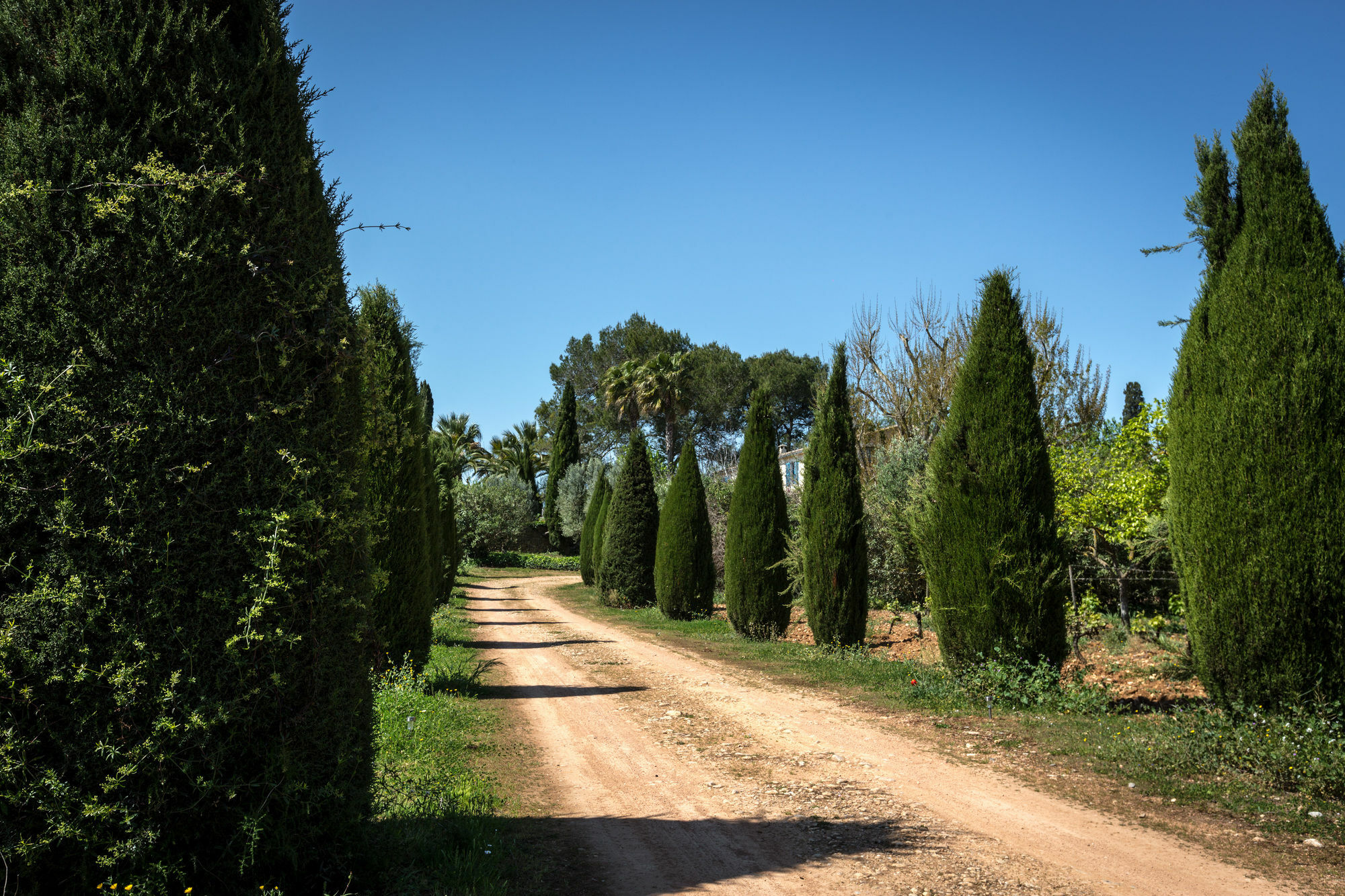 Finca Son Miranda - LA Organic Sencelles Bagian luar foto