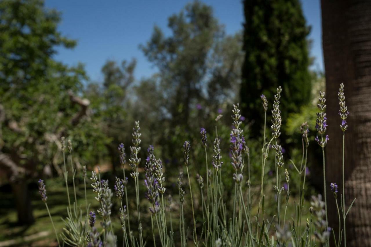 Finca Son Miranda - LA Organic Sencelles Bagian luar foto